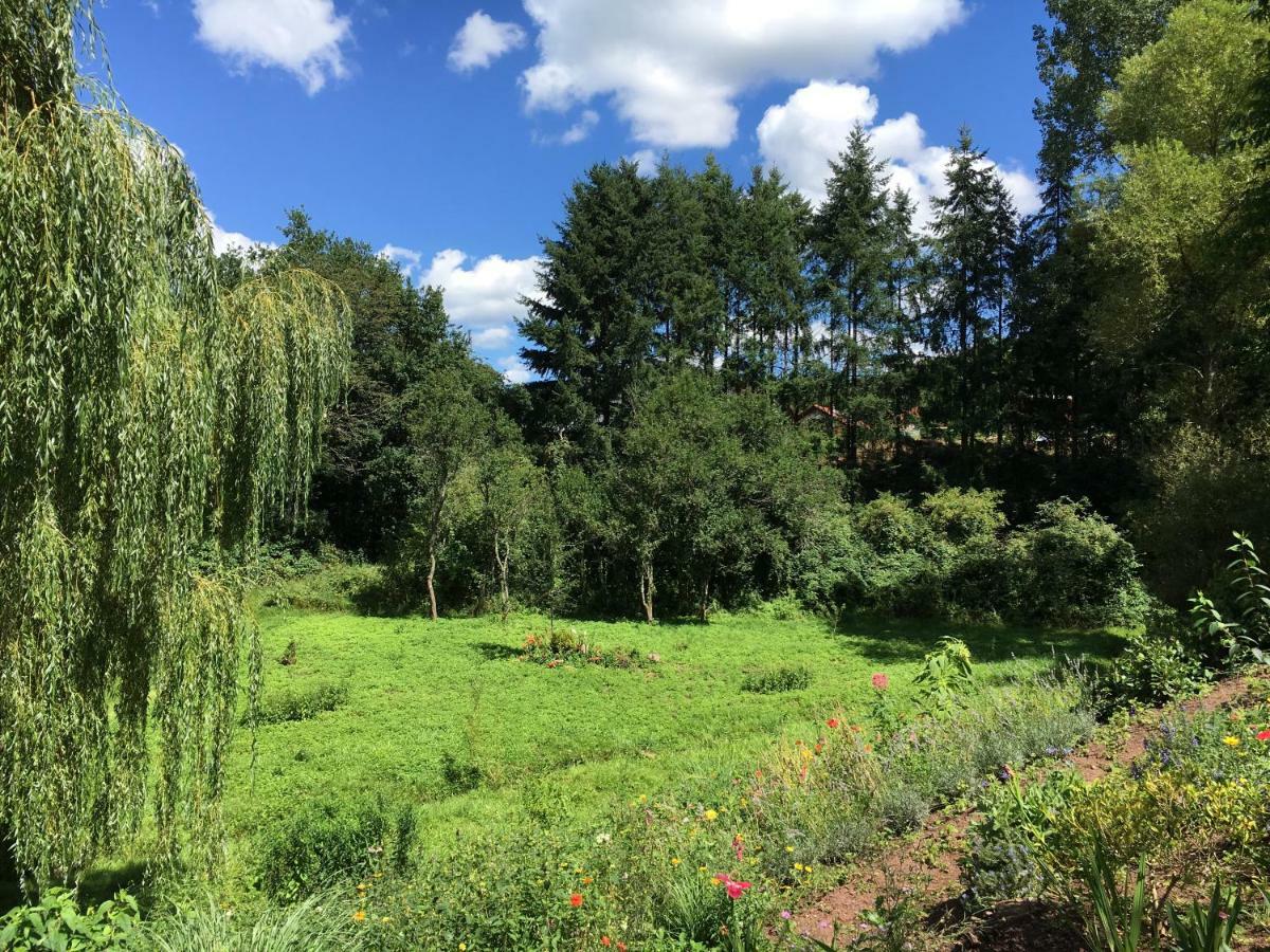 Haagalm Terrasse, Garten Nonnweiler Dış mekan fotoğraf
