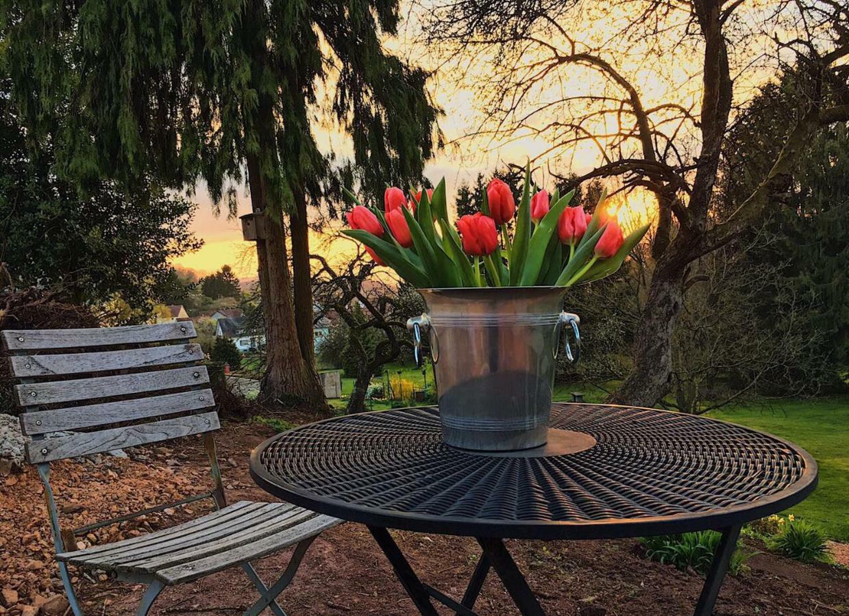 Haagalm Terrasse, Garten Nonnweiler Dış mekan fotoğraf