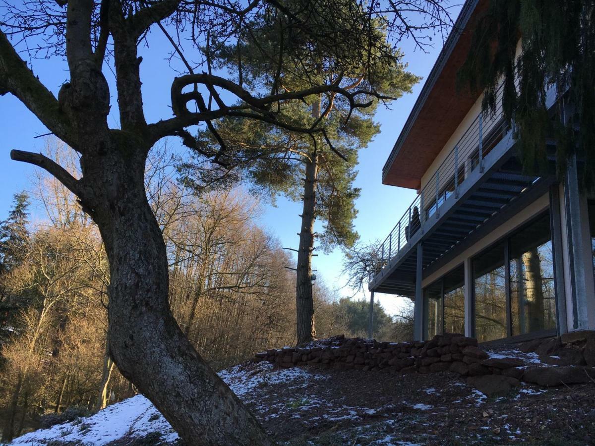 Haagalm Terrasse, Garten Nonnweiler Dış mekan fotoğraf